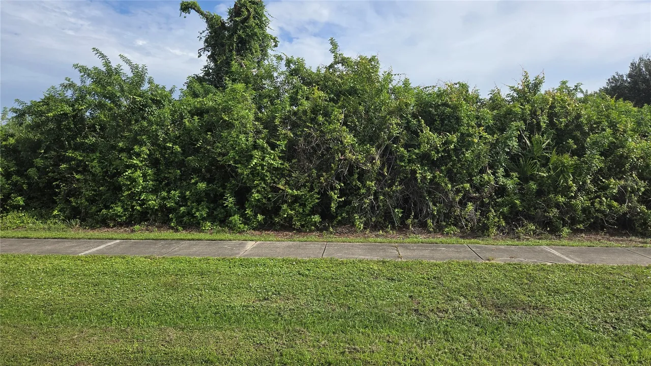 12436 WILLMINGTON BOULEVARD, Port Charlotte, FL 33981