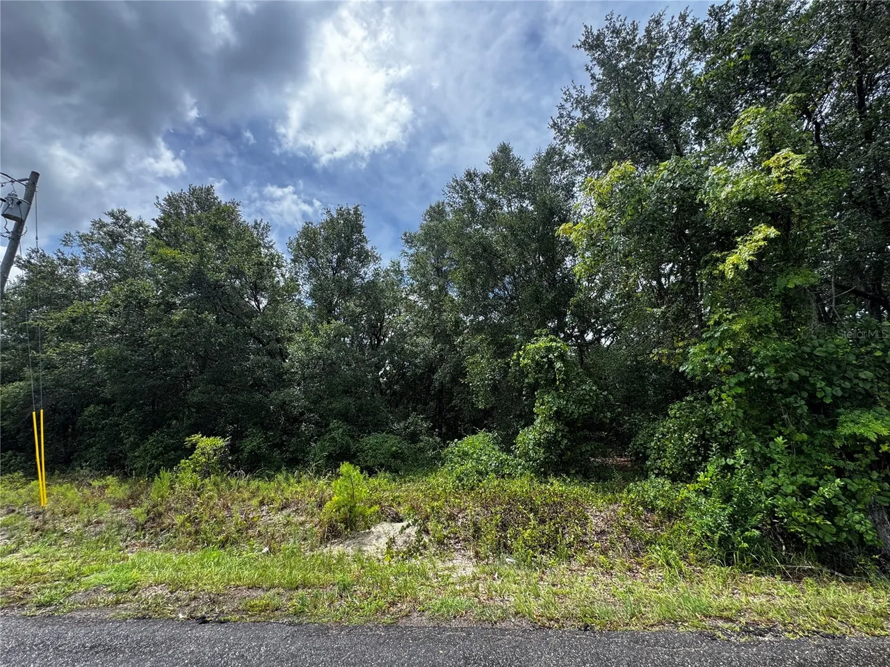 00 SE 115TH PLACE RD., Ocklawaha, FL 32179