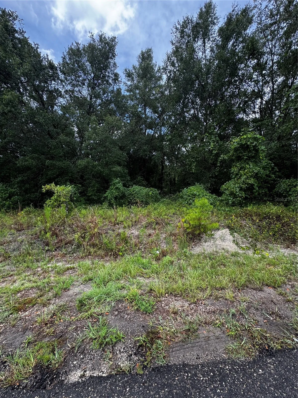 00 SE 115TH PLACE RD., Ocklawaha, FL 32179