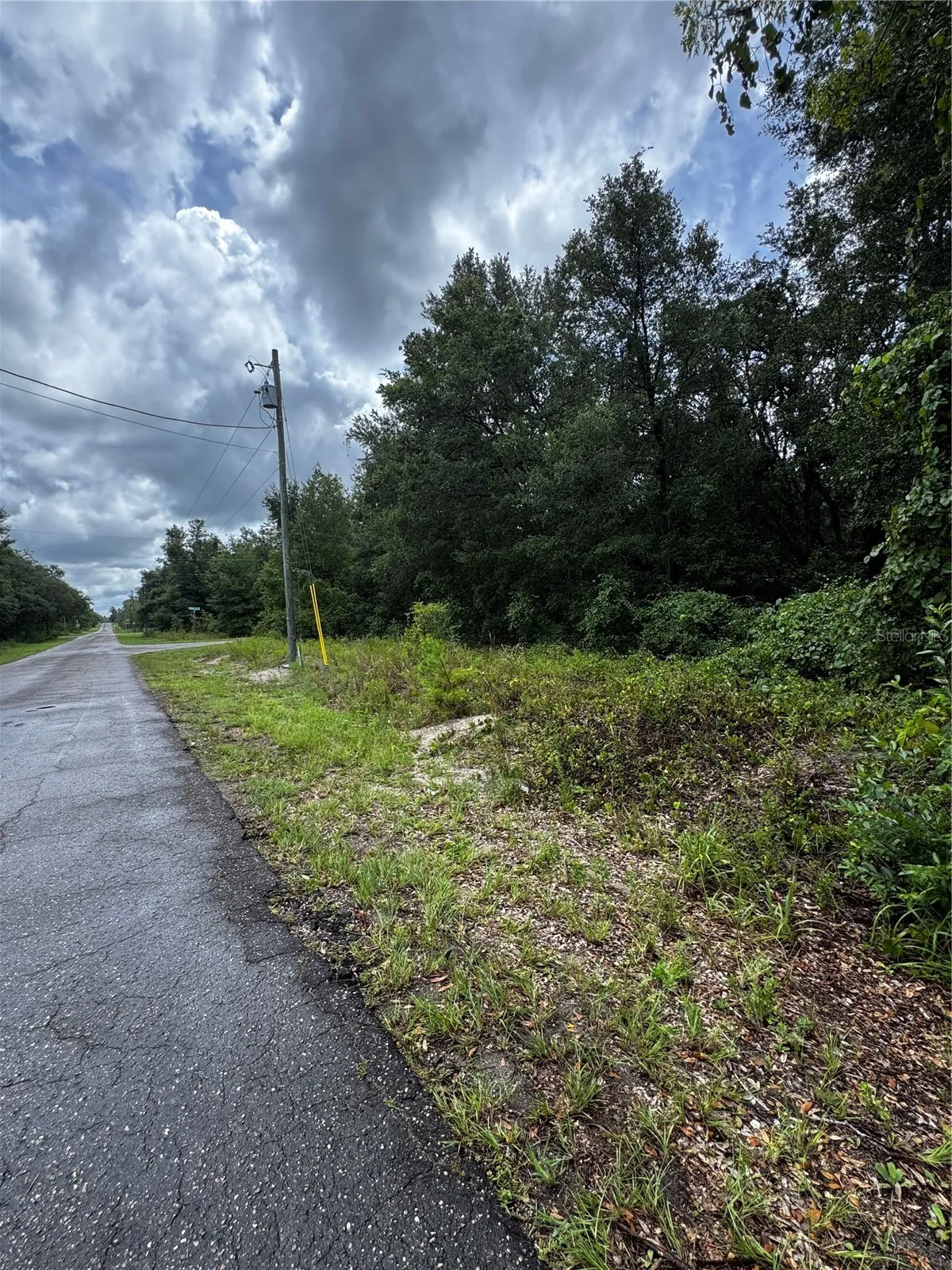 00 SE 115TH PLACE RD., Ocklawaha, FL 32179