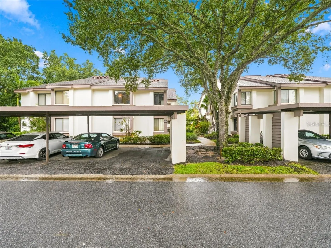 1816 LAKE CYPRESS DRIVE 1816, Safety Harbor, FL 34695